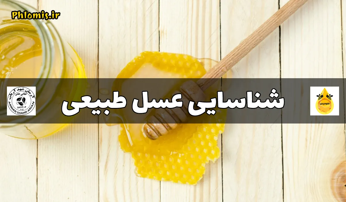 بهترین روش های شناسایی عسل طبیعی