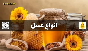 بهترین عسل طبیعی
